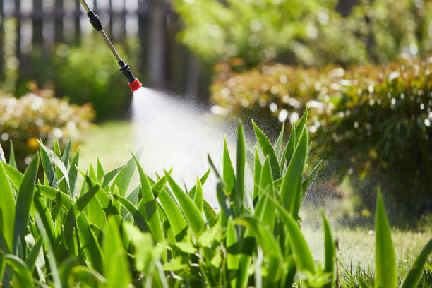 24/7 Emergency Mosquito Control experts in Boca Raton, FL