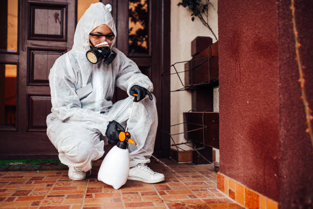 Reliable Mosquito Control contractor in Boca Raton, FL by Show Me Pest Control